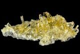 Selenite Crystal Cluster (Fluorescent) - Peru #108612-1